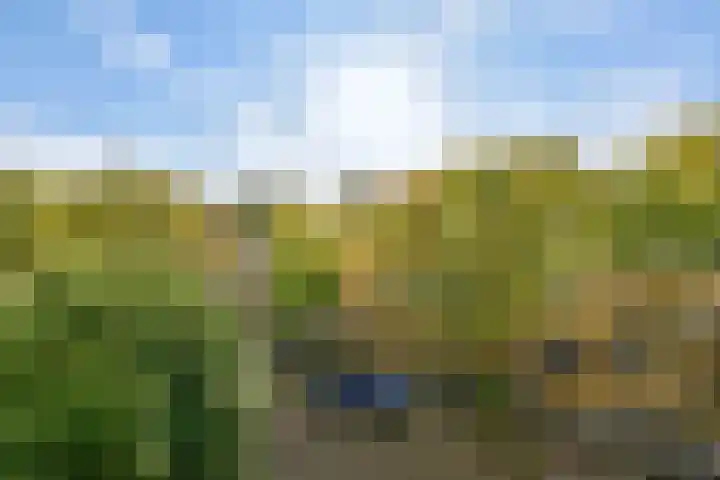Biothof 11 1 Amsterdam thumbnail 15