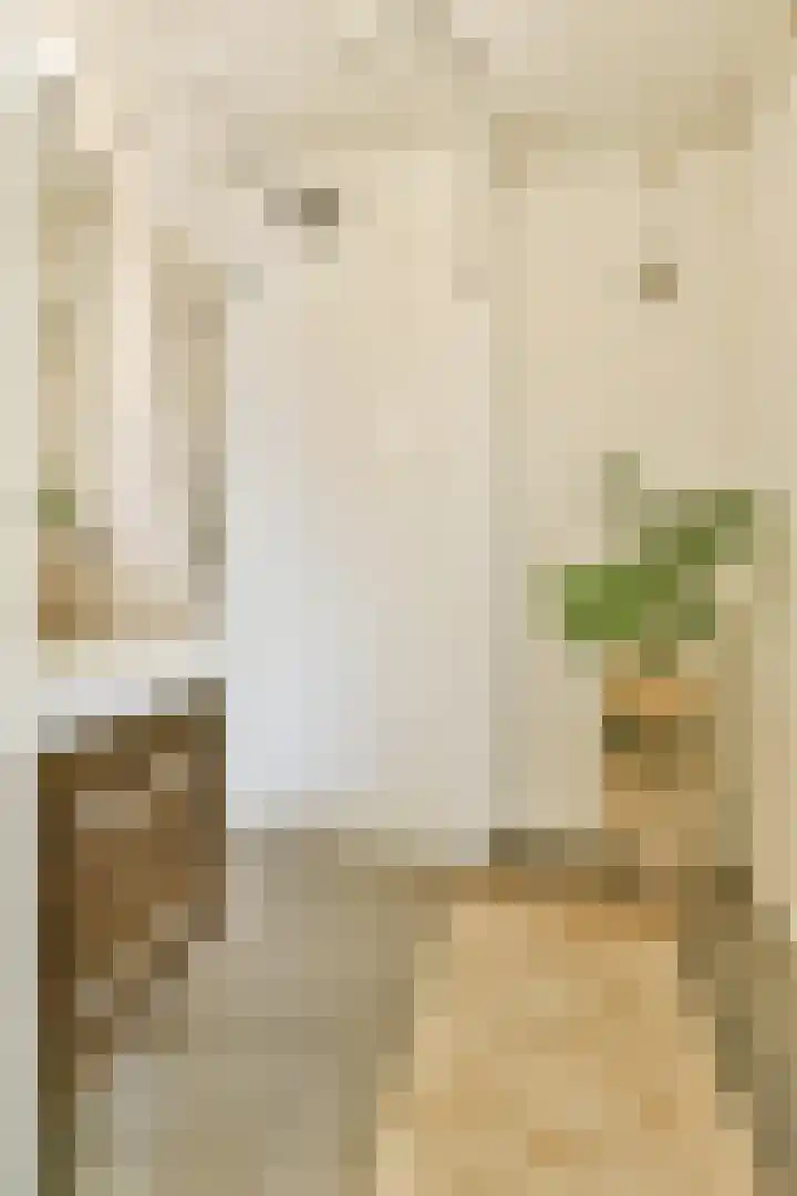 Biothof 11 1 Amsterdam thumbnail 16