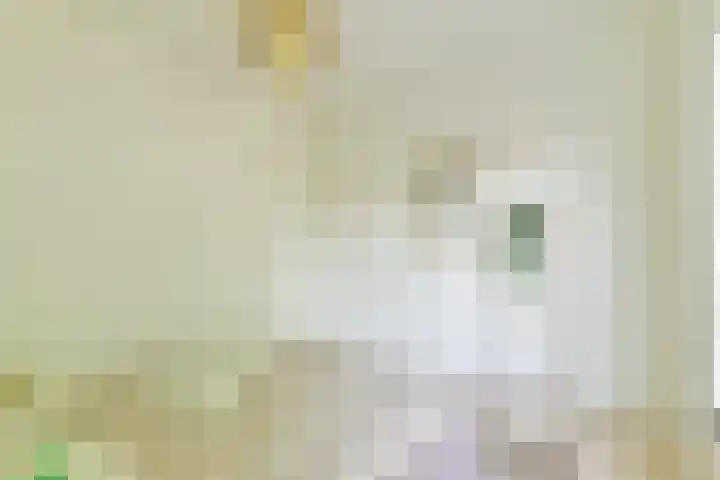 Biothof 11 1 Amsterdam thumbnail 19