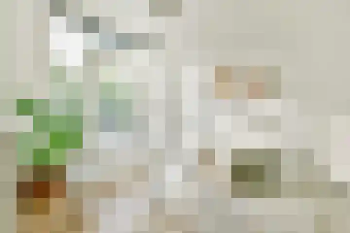 Biothof 11 1 Amsterdam thumbnail 20