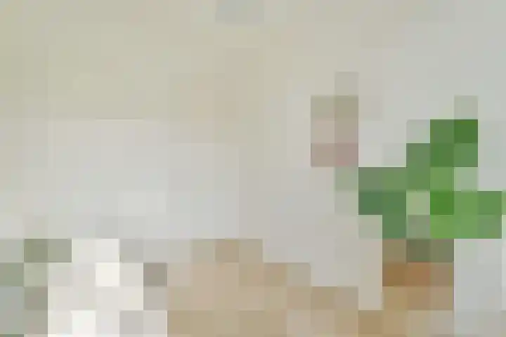 Biothof 11 1 Amsterdam thumbnail 21