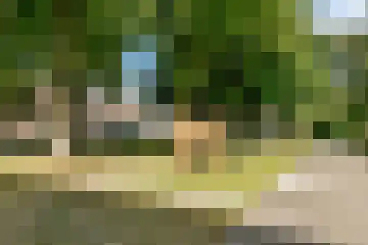 Biothof 11 1 Amsterdam thumbnail 24