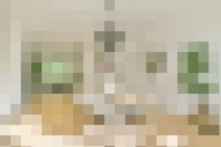 Biothof 11 1 Amsterdam thumbnail 38