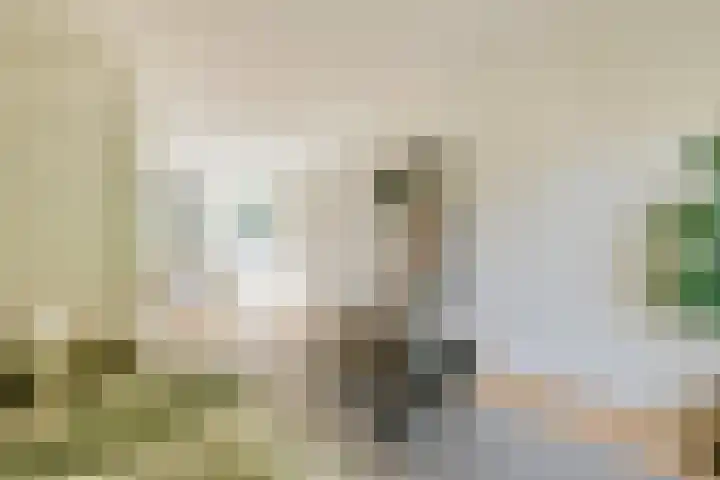 Biothof 11 1 Amsterdam thumbnail 4