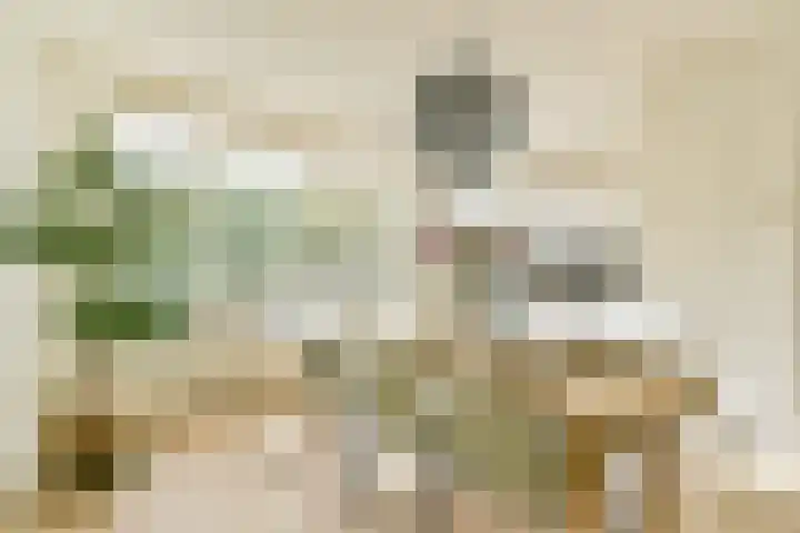 Biothof 11 1 Amsterdam thumbnail 5