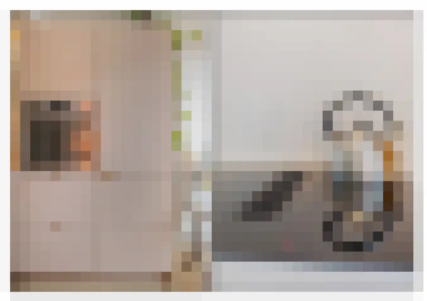Biothof 13 2 Amsterdam thumbnail 10