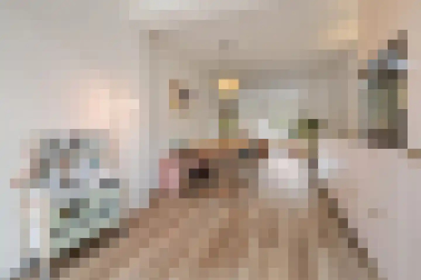 Biothof 13 2 Amsterdam thumbnail 12