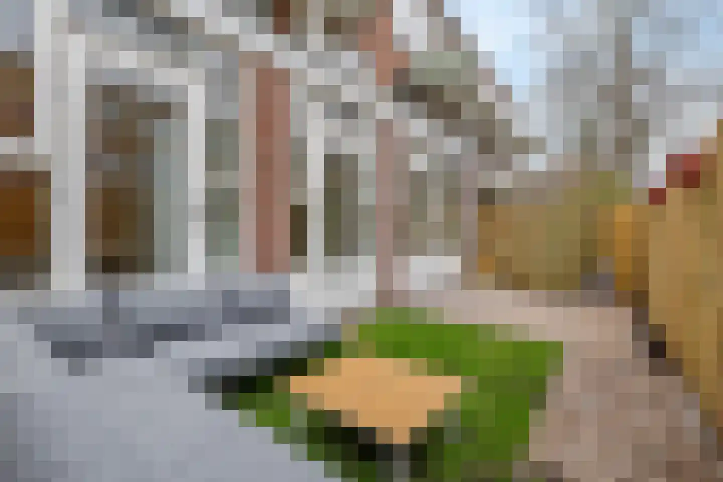 Biothof 13 2 Amsterdam thumbnail 25