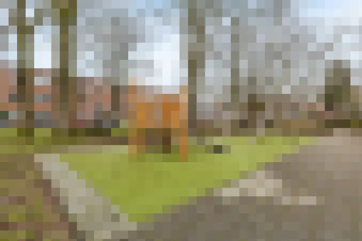 Biothof 13 2 Amsterdam thumbnail 28