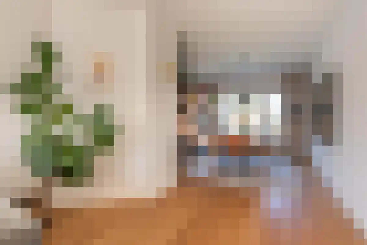 Biothof 14 Amsterdam thumbnail 4