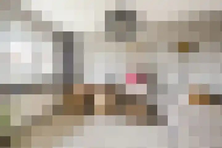 Biotoop 45 Zeewolde thumbnail 18