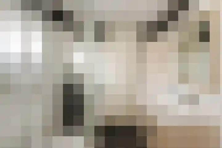 Biotoop 45 Zeewolde thumbnail 22