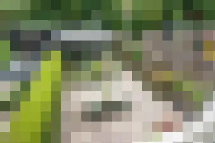 Biotoop 45 Zeewolde thumbnail 31