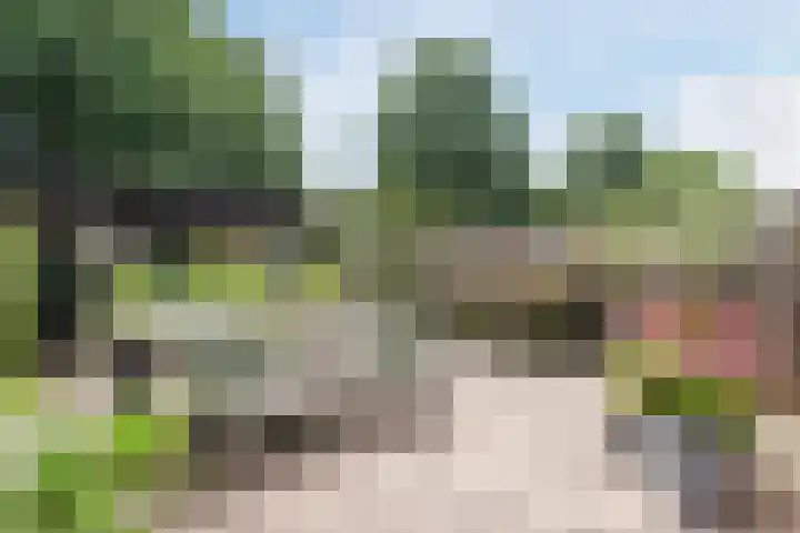 Biotoop 45 Zeewolde thumbnail 33