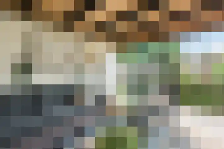 Biotoop 45 Zeewolde thumbnail 36