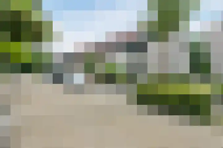 Biotoop 45 Zeewolde thumbnail 38