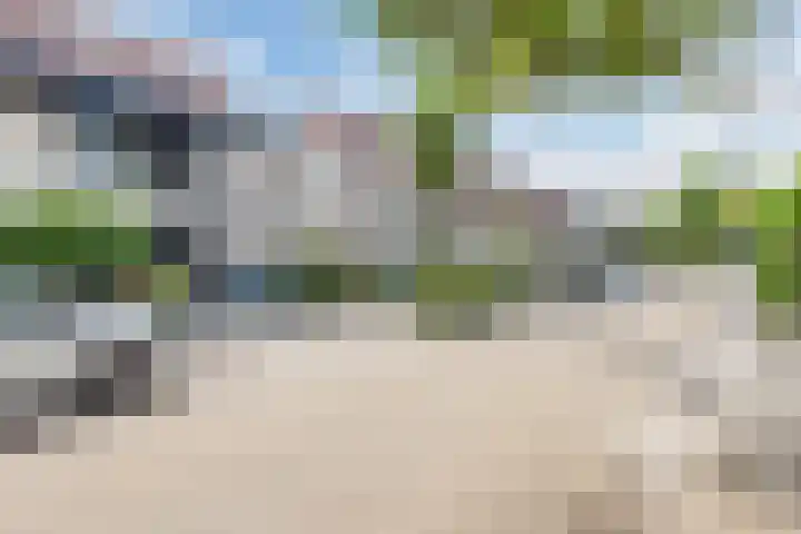 Biotoop 45 Zeewolde thumbnail 39