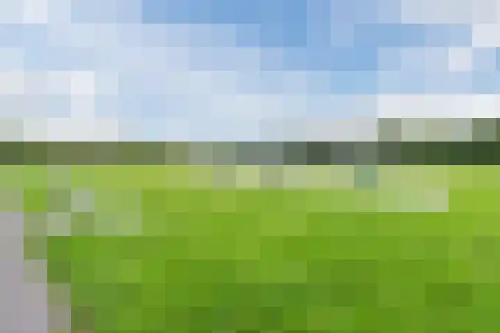 Biotoop 45 Zeewolde thumbnail 40
