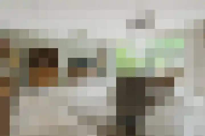 Biotoop 45 Zeewolde thumbnail 6