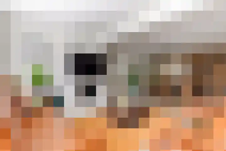 Biotoop 72 Zeewolde thumbnail 17