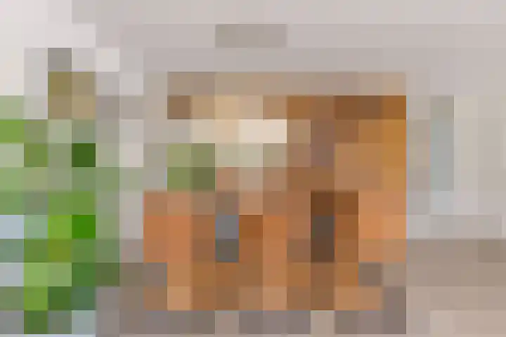 Biotoop 72 Zeewolde thumbnail 19