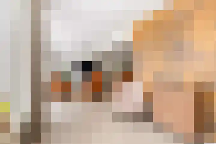 Biotoop 72 Zeewolde thumbnail 22