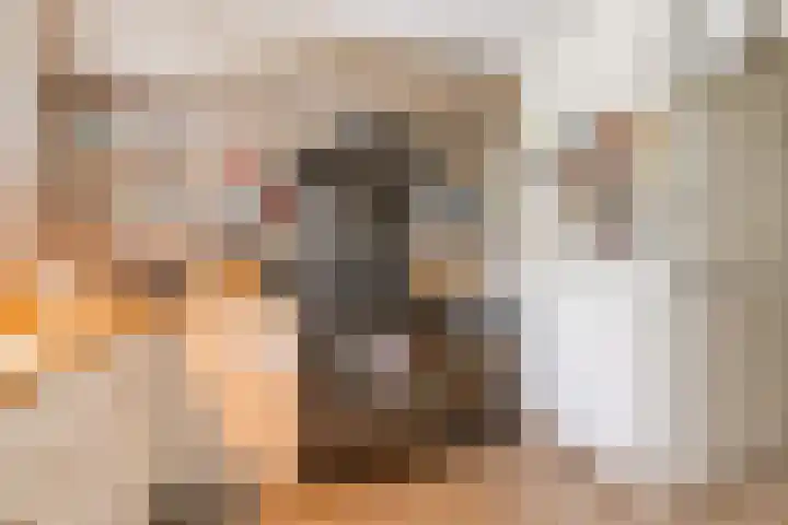 Biotoop 72 Zeewolde thumbnail 30