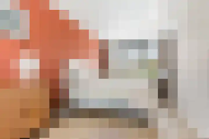 Biotoop 72 Zeewolde thumbnail 38