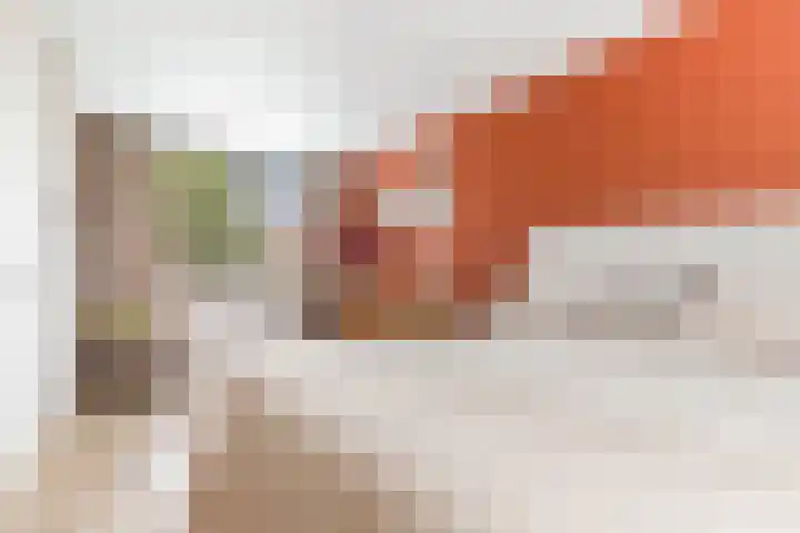 Biotoop 72 Zeewolde thumbnail 39