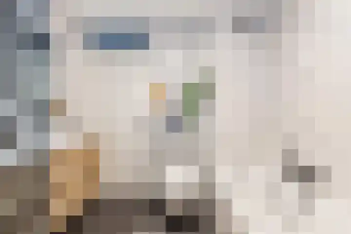 Biotoop 72 Zeewolde thumbnail 46