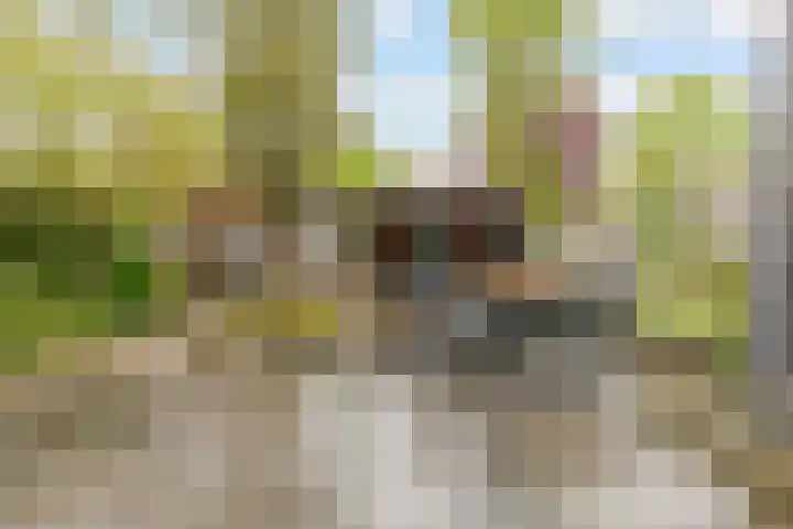Biotoop 72 Zeewolde thumbnail 55