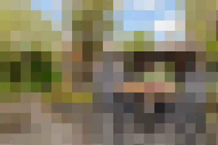 Biotoop 72 Zeewolde thumbnail 56