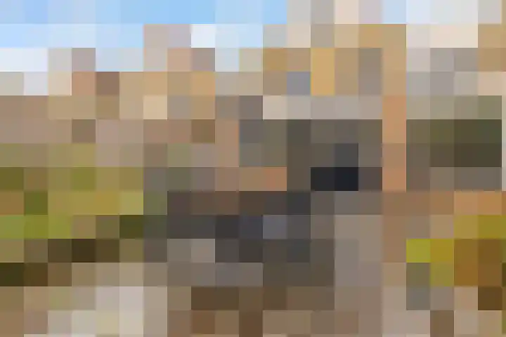 Biotoop 72 Zeewolde thumbnail 57