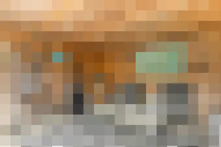 Biotoop 72 Zeewolde thumbnail 59