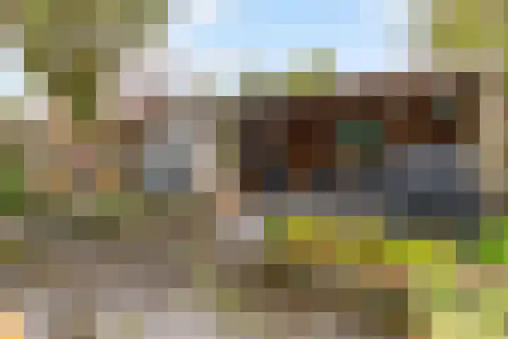 Biotoop 72 Zeewolde thumbnail 60