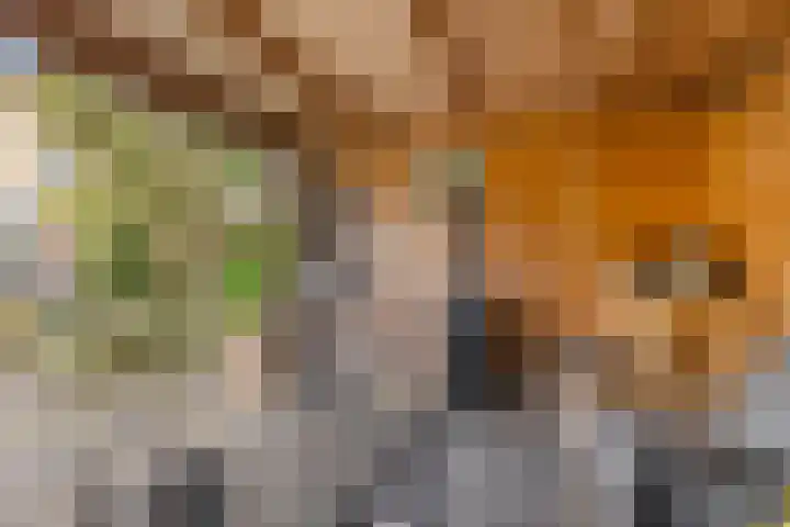 Biotoop 72 Zeewolde thumbnail 61