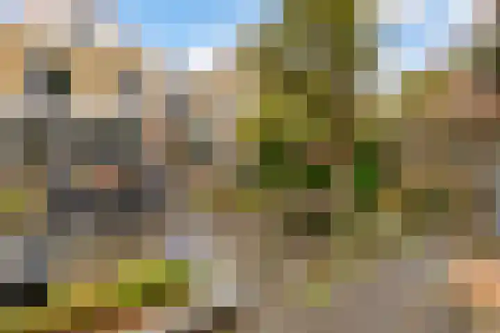 Biotoop 72 Zeewolde thumbnail 62
