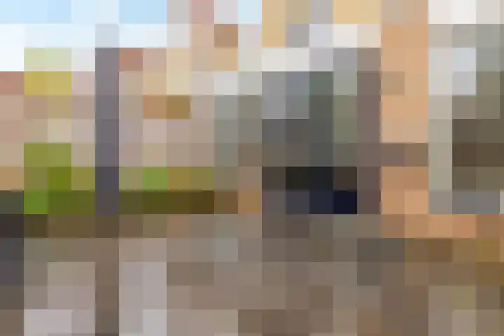 Biotoop 72 Zeewolde thumbnail 63