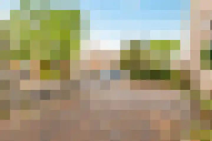 Biotoop 72 Zeewolde thumbnail 65