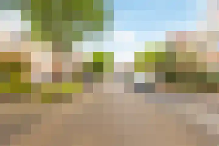 Biotoop 72 Zeewolde thumbnail 68