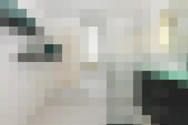 Biotoop 90 Zeewolde thumbnail 17