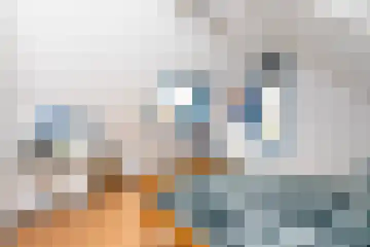 Biotoop 90 Zeewolde thumbnail 22