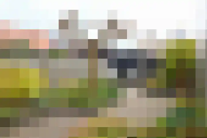 Biotoop 90 Zeewolde thumbnail 24