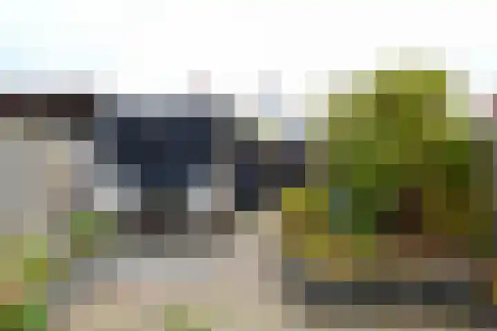 Biotoop 90 Zeewolde thumbnail 25