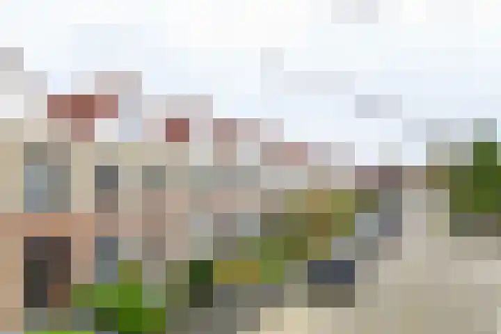 Biotoop 90 Zeewolde thumbnail 28