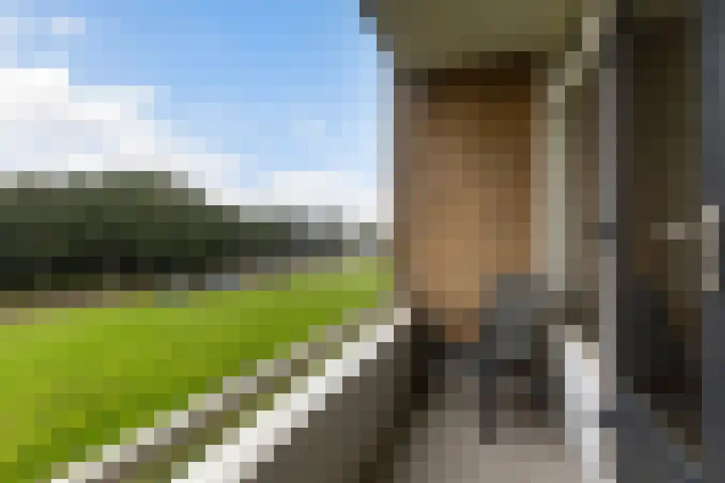 Birdaarderstraatweg 85 Dokkum thumbnail 19