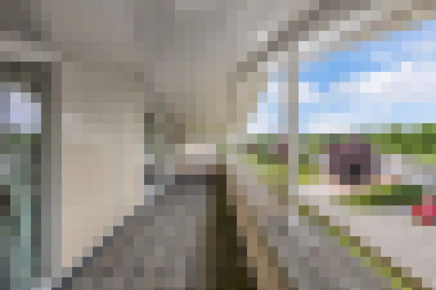 Birdielaan 27 Lelystad thumbnail 57