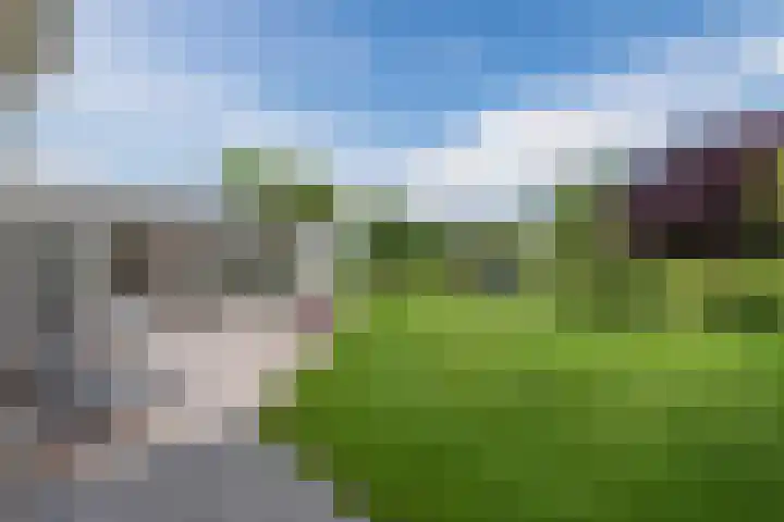 Birdielaan 34 Lelystad thumbnail 64