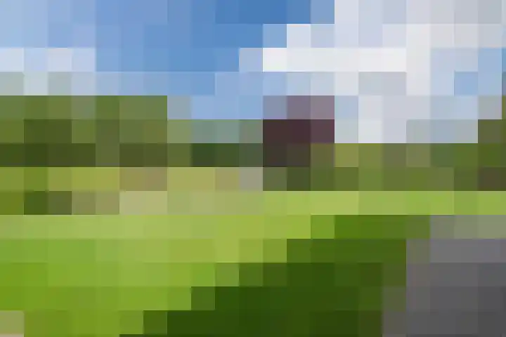 Birdielaan 34 Lelystad thumbnail 76