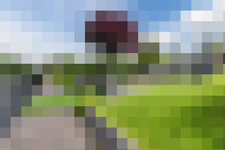 Birdielaan 34 Lelystad thumbnail 77